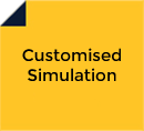 Customised Simulation